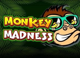 monkey madness slot